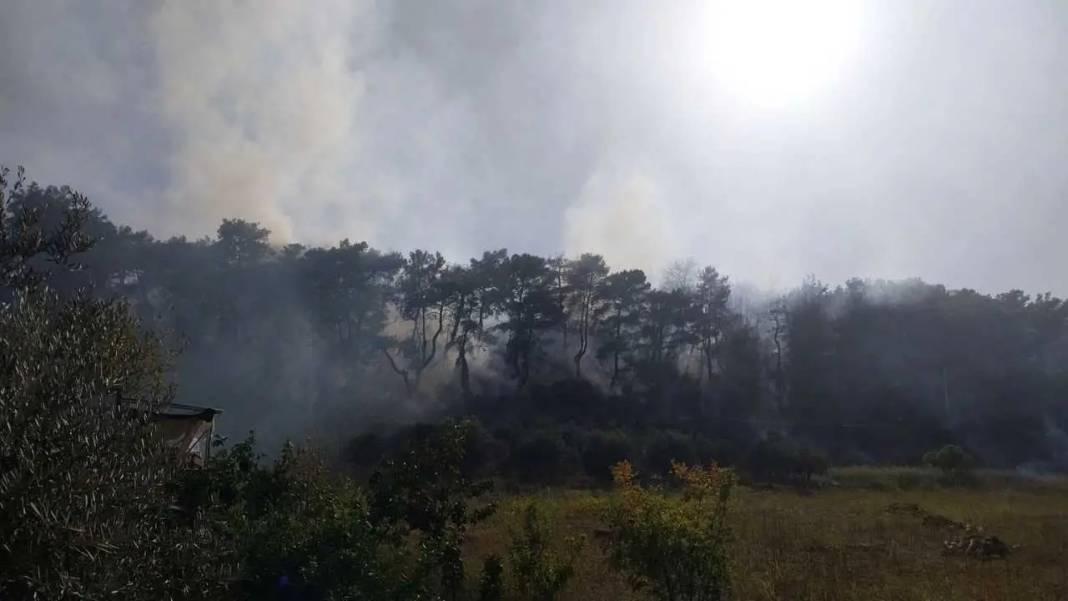 Manavgat’ta Korkutan Yangın Kontrol Altına Alındı! 7